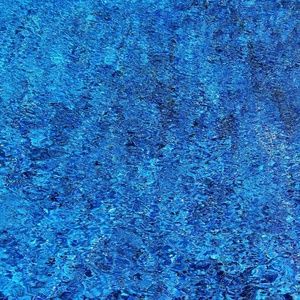 Meet your Posher, Niki